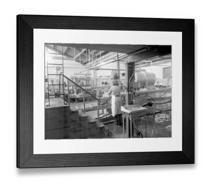 Framed Print : Milk Production in the 1960s: Bottle packing station Framed Print : Milk Production in the 1960s: Bottle packing station