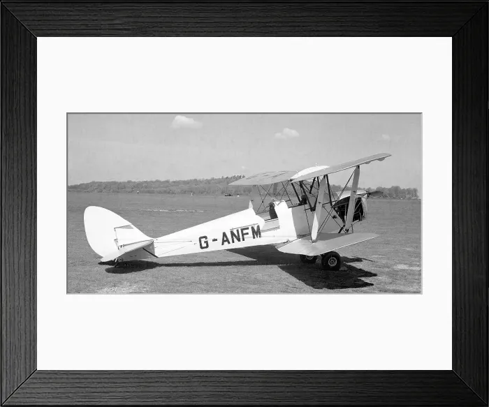 Framed Print : de Havilland DH. 82A Tiger Moth G-ANFM Framed Print : de Havilland DH. 82A Tiger Moth G-ANFM