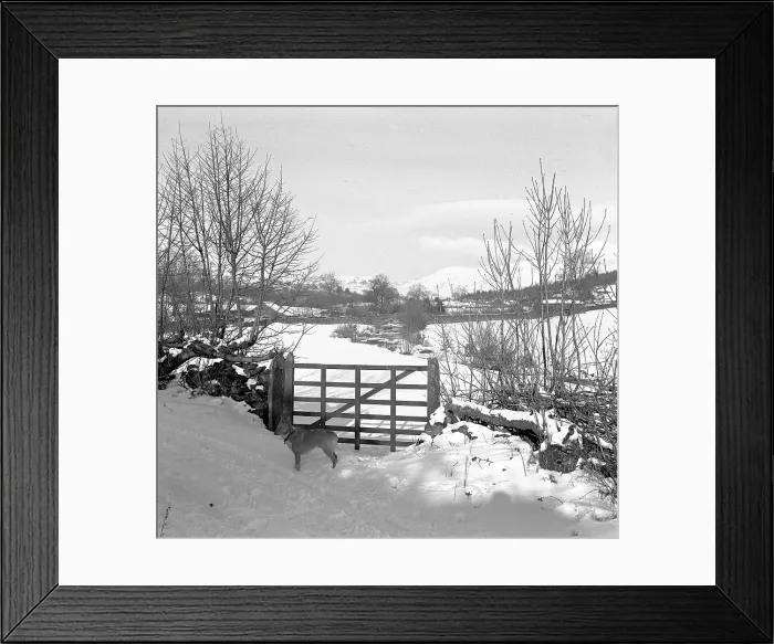 Framed Print : Scene of the Lake District Framed Print : Scene of the Lake District