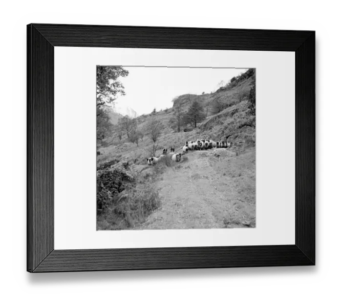 Framed Print : Scene of the Lake District Framed Print : Scene of the Lake District