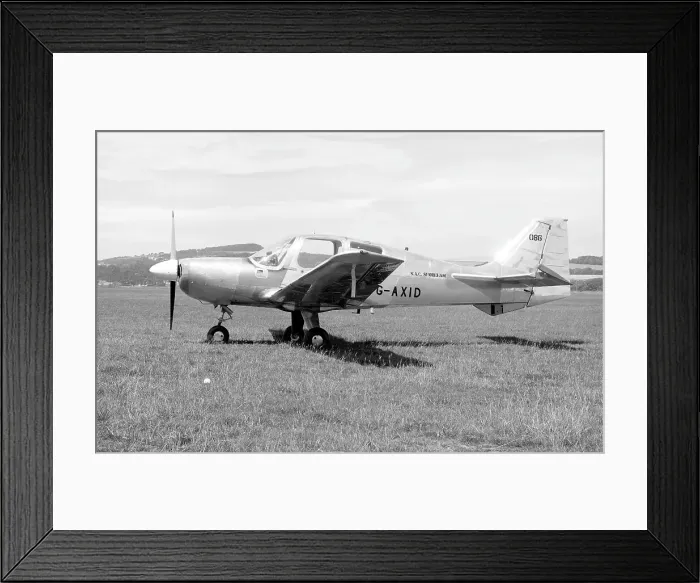 Framed Print : Beagle Pup 150 G-AXID Framed Print : Beagle Pup 150 G-AXID