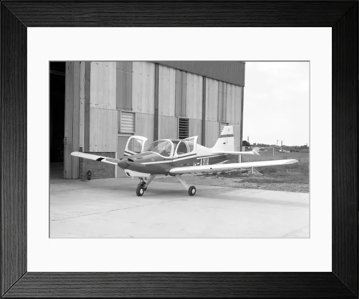 Framed Print : Beagle Pup 100 G-AXIA Framed Print : Beagle Pup 100 G-AXIA