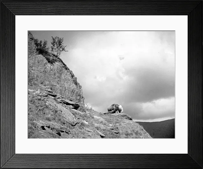 Framed Print : View of the Lake District Framed Print : View of the Lake District