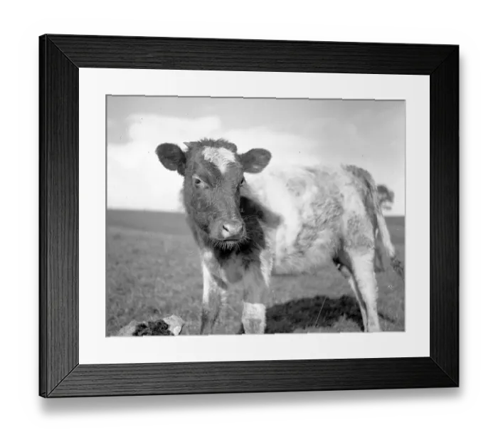 Framed Print : View of the Yorkshire Dales, between Kaber and Tan Hill Framed Print : View of the Yorkshire Dales, between Kaber and Tan Hill