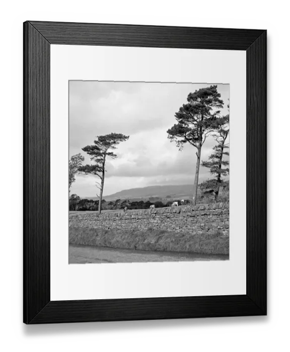 Framed Print : View of the Yorkshire Dales, between Kaber and Tan Hill Framed Print : View of the Yorkshire Dales, between Kaber and Tan Hill
