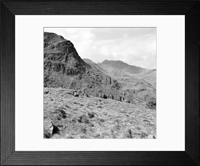 Framed Print : View of the Lake District Framed Print : View of the Lake District