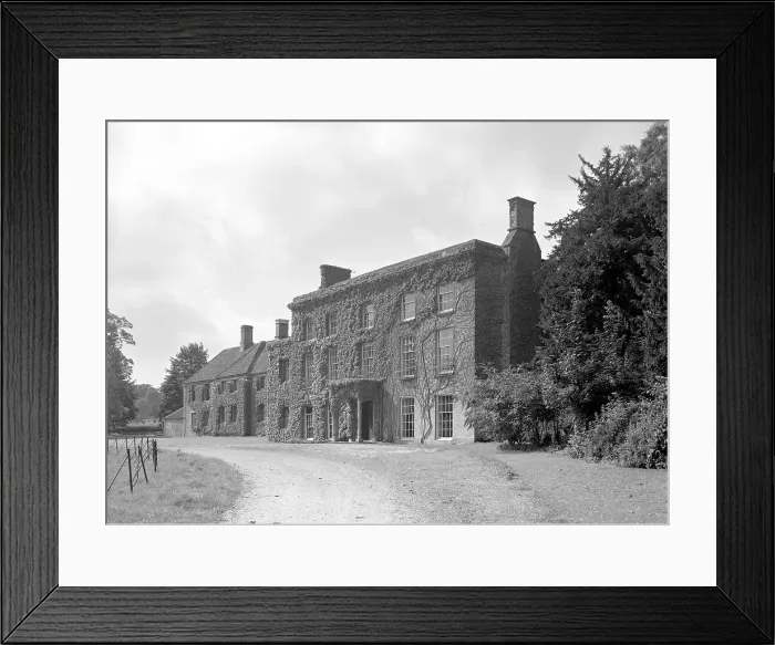 Framed Print : Ivy-covered house Framed Print : Ivy-covered house