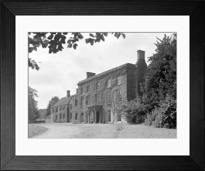 Framed Print : Ivy-covered house Framed Print : Ivy-covered house