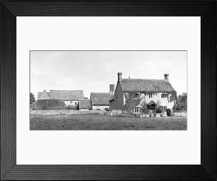 Framed Print : Ivy-covered house Framed Print : Ivy-covered house