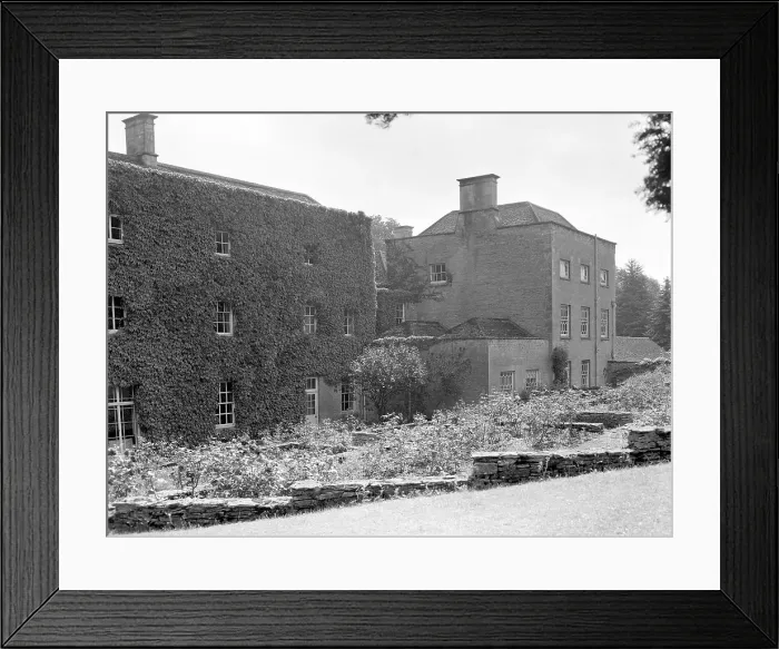 Framed Print : Ivy-covered house Framed Print : Ivy-covered house