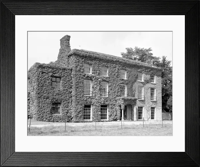 Framed Print : Ivy-covered house Framed Print : Ivy-covered house
