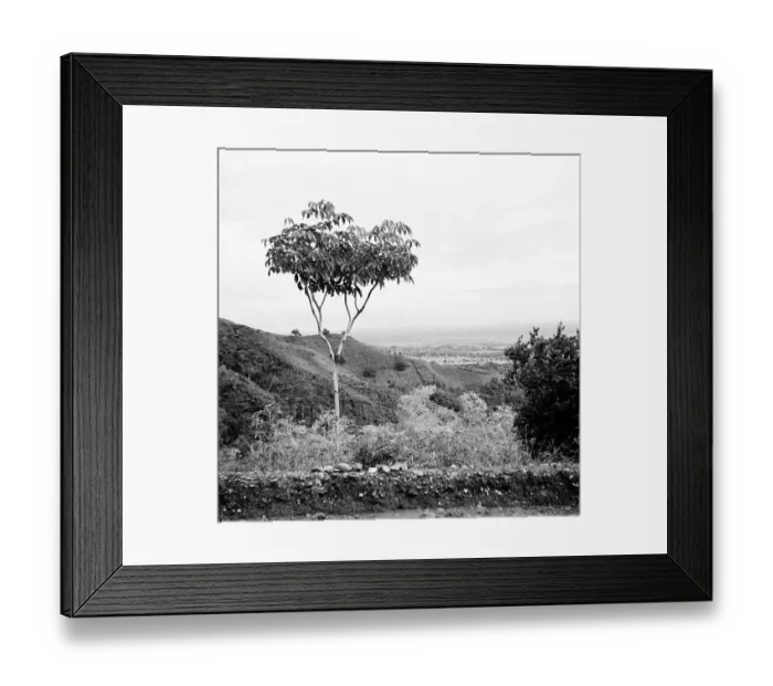 Framed Print : Unknown - Unidentified Tropical Location Framed Print : Unknown - Unidentified Tropical Location