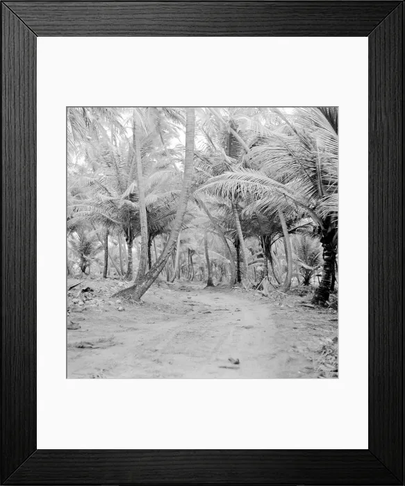Framed Print : Unknown - Unidentified Tropical Location Framed Print : Unknown - Unidentified Tropical Location