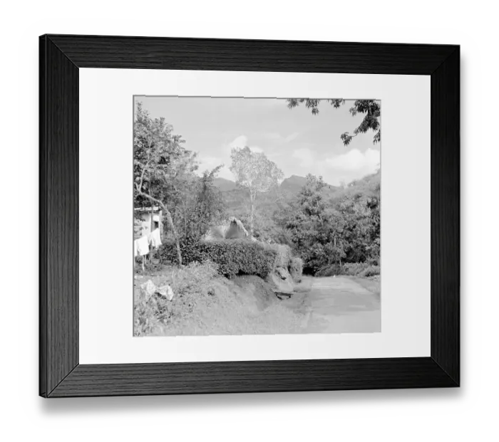 Framed Print : Unknown - Unidentified Tropical Location Framed Print : Unknown - Unidentified Tropical Location