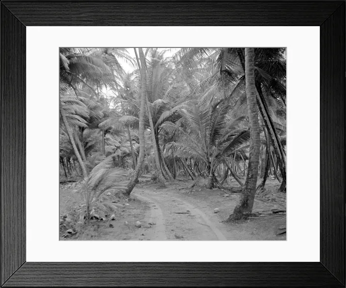 Framed Print : Unknown - Unidentified Tropical Location Framed Print : Unknown - Unidentified Tropical Location