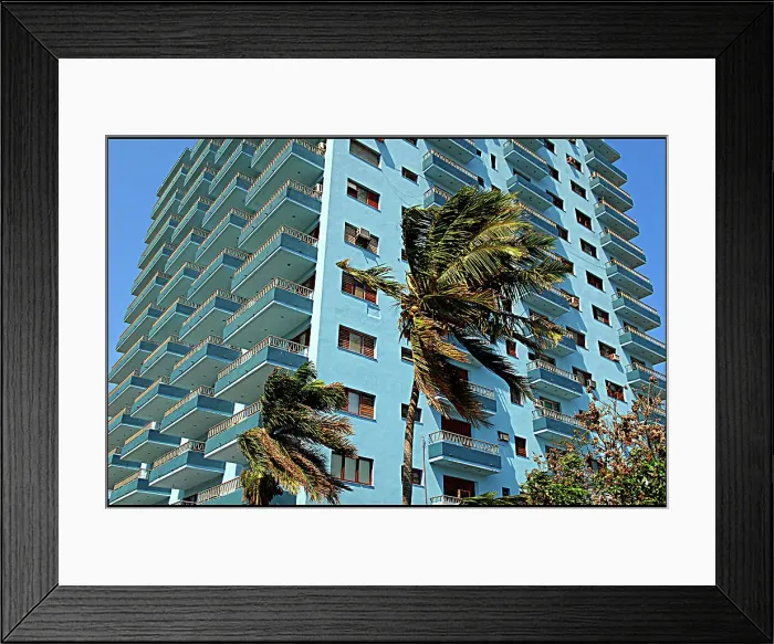 Framed Print : High Rise buildings-palms, Havana, Cuba Framed Print : High Rise buildings-palms, Havana, Cuba