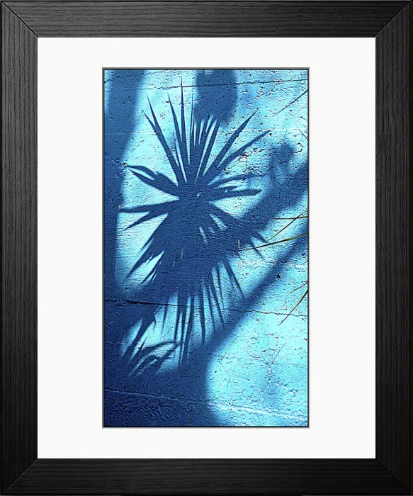 Framed Print : Shadow of palm leaves on wall, Havana, Cuba Framed Print : Shadow of palm leaves on wall, Havana, Cuba