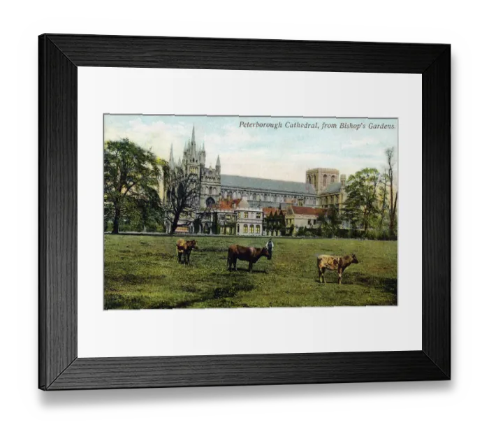 Framed Print : Peterborough Cathedral, viewed from Bishop's Gardens Framed Print : Peterborough Cathedral, viewed from Bishop's Gardens