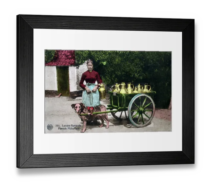 Framed Print : Flemish Milkmaid with her dog cart, Brussels, Belgium Framed Print : Flemish Milkmaid with her dog cart, Brussels, Belgium