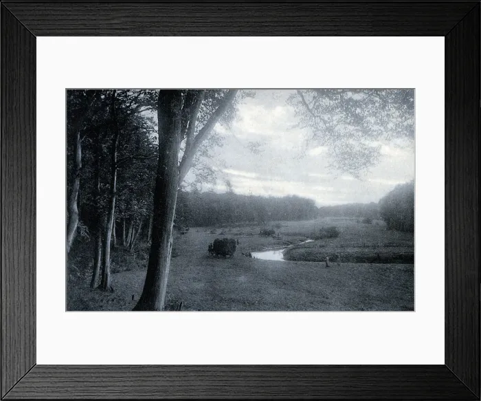 Framed Print : Hampshire Countryside scene Framed Print : Hampshire Countryside scene