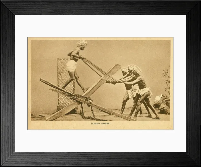 Framed Print : Sawing Timber - India Framed Print : Sawing Timber - India