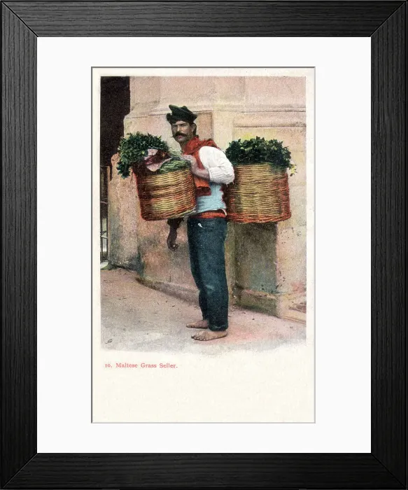 Framed Print : Maltese Grass Seller - Malta Framed Print : Maltese Grass Seller - Malta