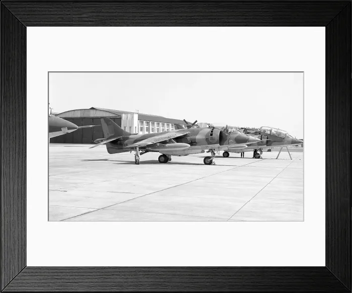 Framed Print : Hawker Siddeley Harrier GR. 1 XW919 Framed Print : Hawker Siddeley Harrier GR. 1 XW919