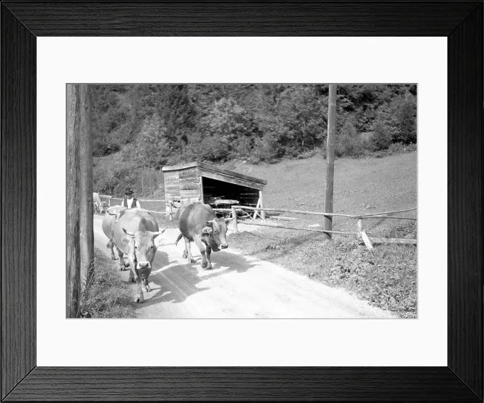 Framed Print : Swiss Alps: alpine view Framed Print : Swiss Alps: alpine view