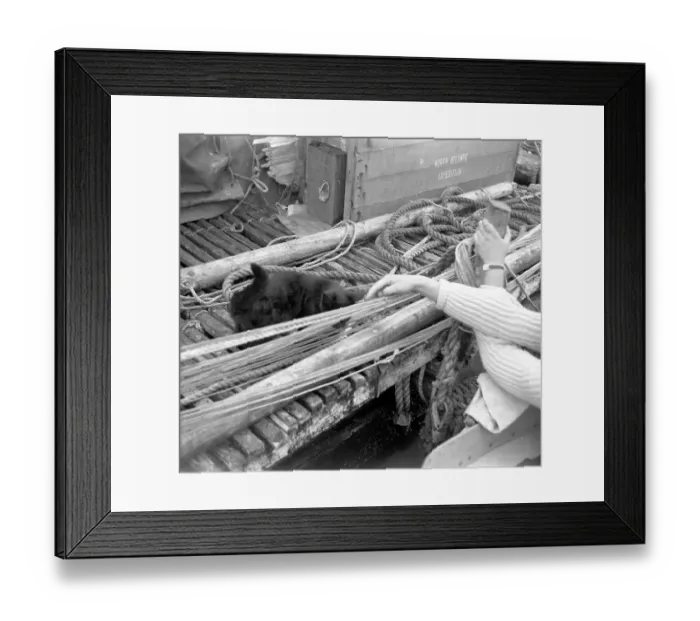 Framed Print : L'egare II - North Atlantic expedition raft, at Falmouth Framed Print : L'egare II - North Atlantic expedition raft, at Falmouth