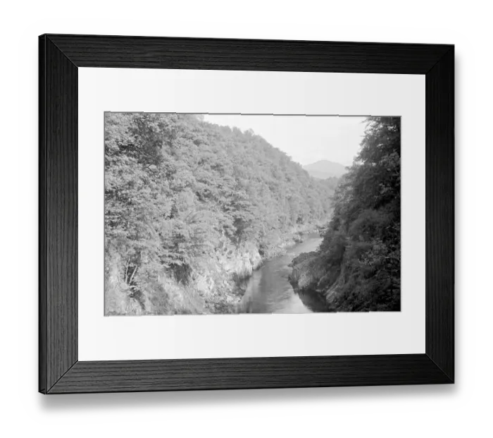 Framed Print : Steep-sided wooded gully with beck Framed Print : Steep-sided wooded gully with beck