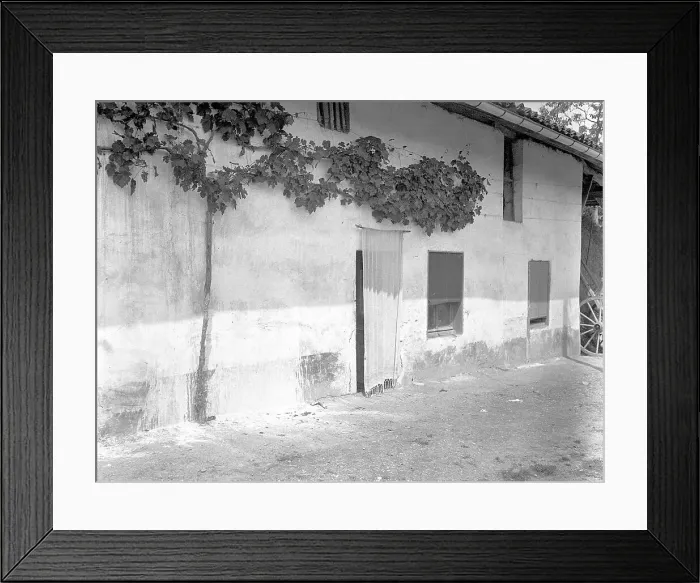 Framed Print : House with well-tended grape-vine, in Albertville Framed Print : House with well-tended grape-vine, in Albertville