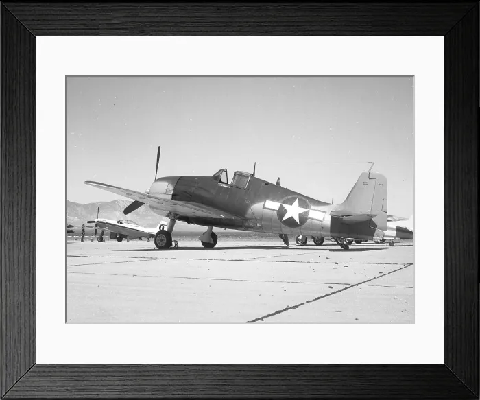 Framed Print : Grumman F6F-5 Hellcat N4994V Framed Print : Grumman F6F-5 Hellcat N4994V