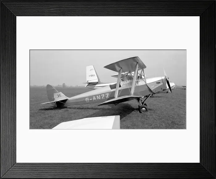 Framed Print : de Havilland DH. 82A Tiger Moth G-ANZZ The Archbishop Framed Print : de Havilland DH. 82A Tiger Moth G-ANZZ The Archbishop