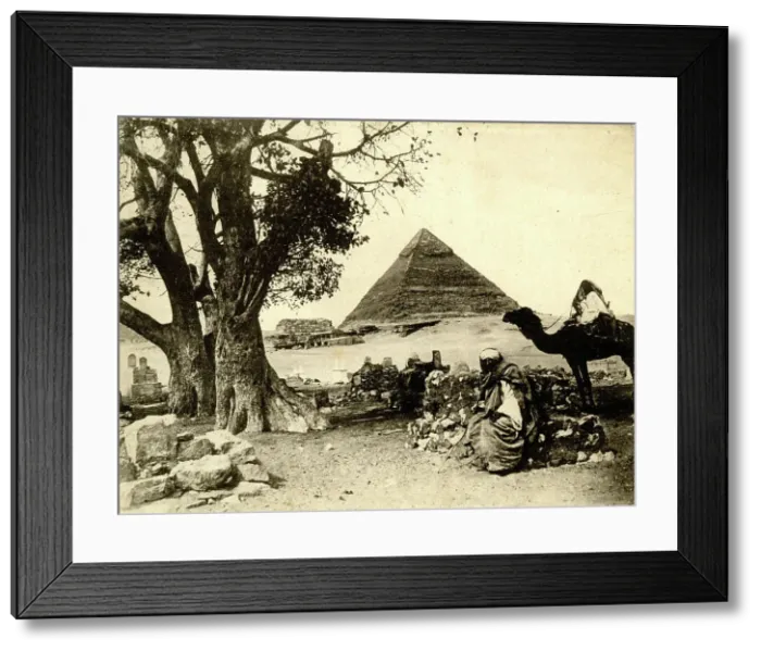 Framed Print : Egyptian and camel with a pyramid behind Framed Print : Egyptian and camel with a pyramid behind