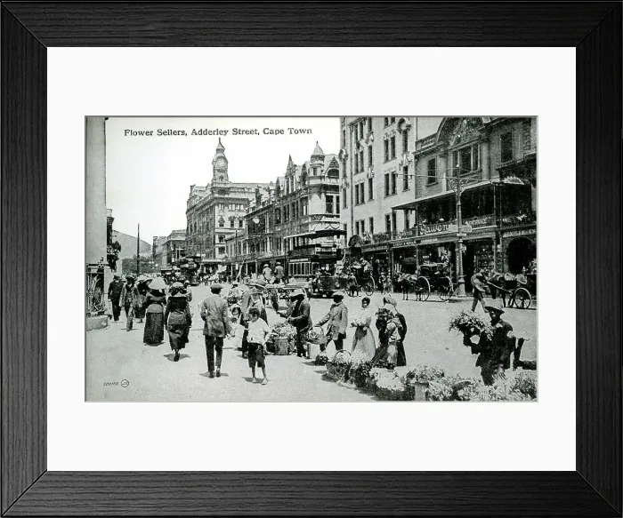 Framed Print : Flower sellers, Adderley Street, Cape Town, South Africa Framed Print : Flower sellers, Adderley Street, Cape Town, South Africa