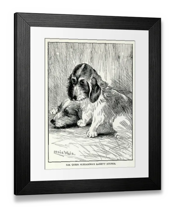 Framed Print : Queen Alexandra's Bassett hounds Framed Print : Queen Alexandra's Bassett hounds