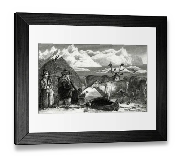 Framed Print : Laplanders and Reindeer Framed Print : Laplanders and Reindeer