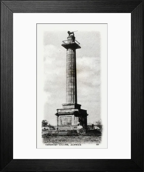 Framed Print : Tenantry Column, Alnwick, Northumberland Framed Print : Tenantry Column, Alnwick, Northumberland