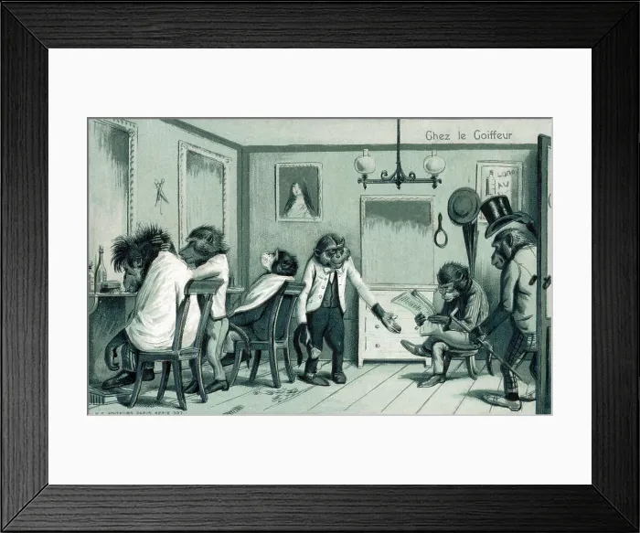 Framed Print : At the Barber - hirsute monkeys popping in for a trim