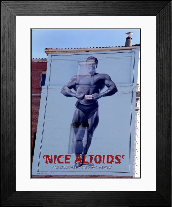 Framed Print : Advertising hoarding on the side of a building with seagull Framed Print : Advertising hoarding on the side of a building with seagull