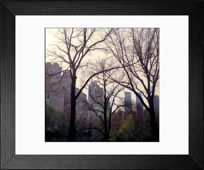 Framed Print : Trees Central Park plus buildings New York Framed Print : Trees Central Park plus buildings New York