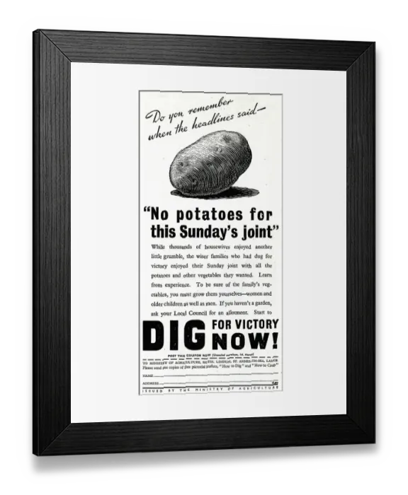 Framed Print : Advert, Dig for Victory Now! Ministry of Agriculture, WW2 Framed Print : Advert, Dig for Victory Now! Ministry of Agriculture, WW2