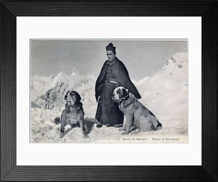 Framed Print : A Benedictine monk with two St Bernard rescue dogs Framed Print : A Benedictine monk with two St Bernard rescue dogs