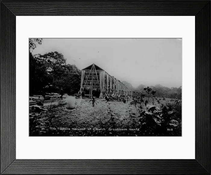 Framed Print : Real photo of tobacco drying sheds Church Crookham Framed Print : Real photo of tobacco drying sheds Church Crookham