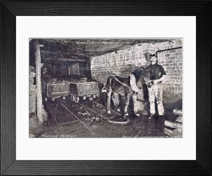 Framed Print : Pit pony with handler underground in Lanarkshire mine Framed Print : Pit pony with handler underground in Lanarkshire mine