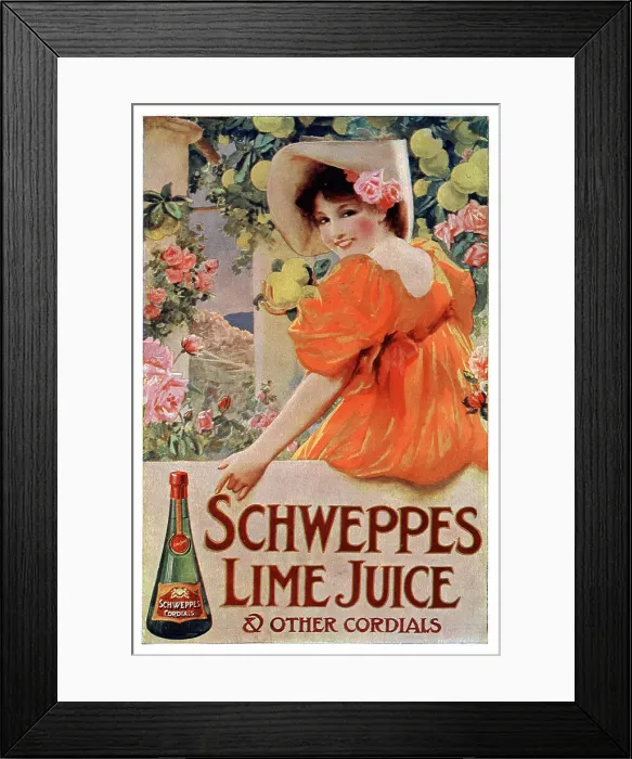 Framed Print : Advert, Schweppes Lime Juice Cordial Framed Print : Advert, Schweppes Lime Juice Cordial