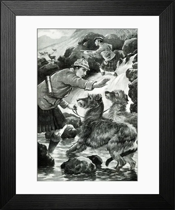 Framed Print : Hunting in the Highlands of Scotland with Deerhound Dogs Framed Print : Hunting in the Highlands of Scotland with Deerhound Dogs