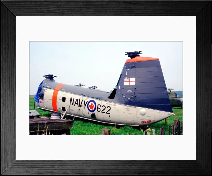 Framed Print : Piasecki H-25A Army Mule 622 Framed Print : Piasecki H-25A Army Mule 622