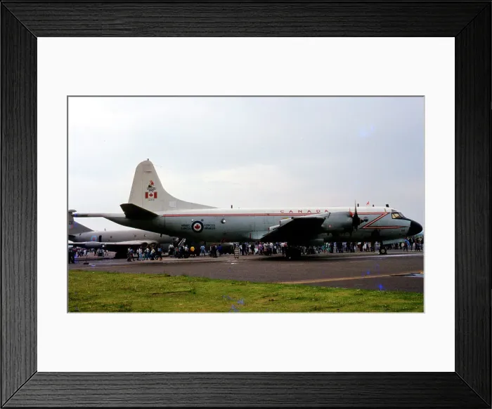 Framed Print : Lockheed CP-140 Aurora 140114 Framed Print : Lockheed CP-140 Aurora 140114