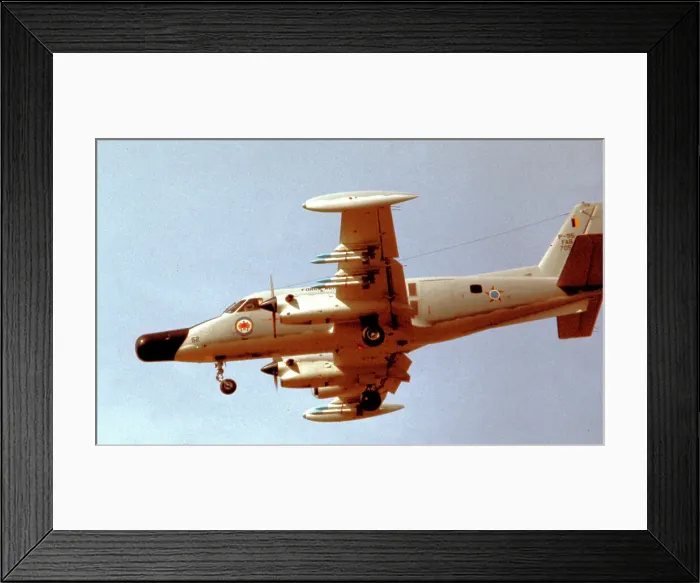 Framed Print : Embraer EMB-110 P-95 Bandeirante 705 Framed Print : Embraer EMB-110 P-95 Bandeirante 705